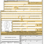 DS-11 passport form