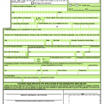 Download DS-4085 Fill out DS-4085 Online